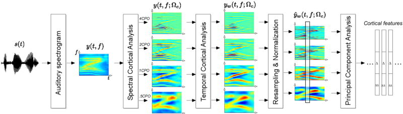 Biomimetic multi-resolution analysis for robust speaker recognition.