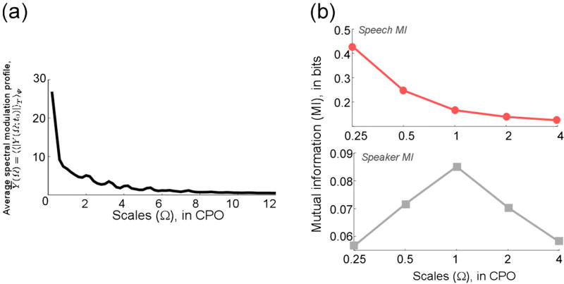 Biomimetic multi-resolution analysis for robust speaker recognition.