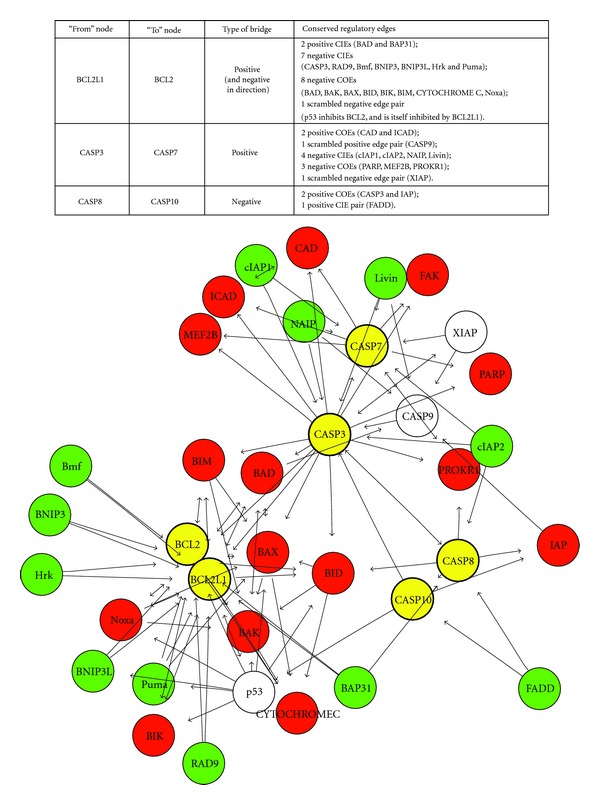 Polyploidy and the evolution of complex traits.