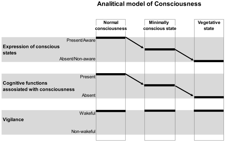 DMN Operational Synchrony Relates to Self-Consciousness: Evidence from Patients in Vegetative and Minimally Conscious States.