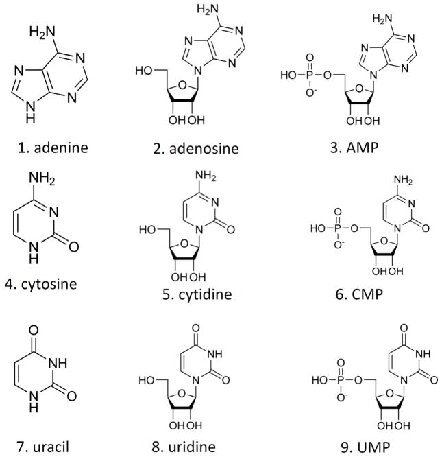 Counter-Current Chromatographic Separation of Nucleic Acid Constituents with a Polar Volatile Organic-Aqueous Two-Phase Solvent Systems with ELSD Detection.