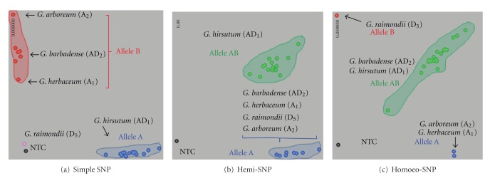 SNP markers and their impact on plant breeding.