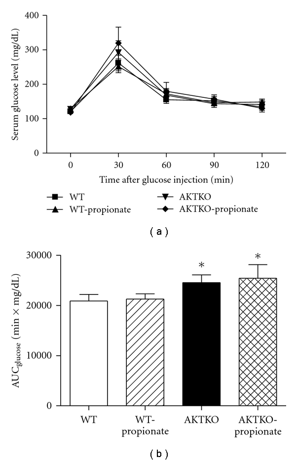 Short-chain fatty acid propionate alleviates Akt2 knockout-induced myocardial contractile dysfunction.