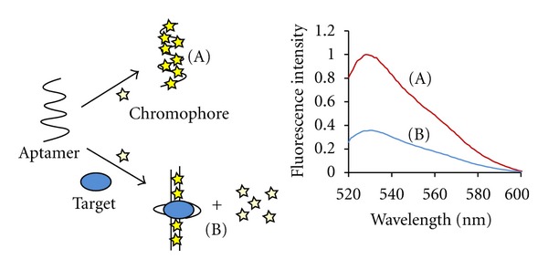 Nucleic-Acid-binding chromophores as efficient indicators of aptamer-target interactions.