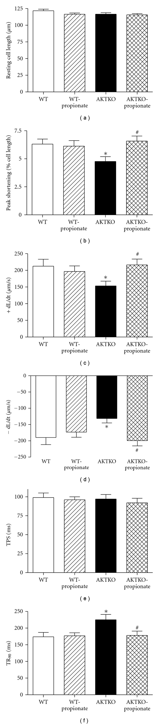 Short-chain fatty acid propionate alleviates Akt2 knockout-induced myocardial contractile dysfunction.