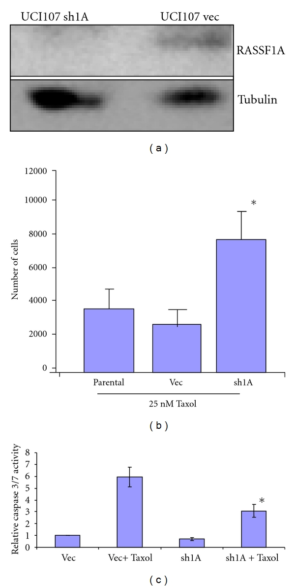 RASSF1A and the Taxol Response in Ovarian Cancer.