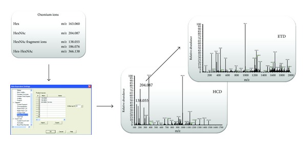 Increasing the productivity of glycopeptides analysis by using higher-energy collision dissociation-accurate mass-product-dependent electron transfer dissociation.