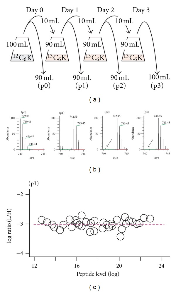 Chromatin-Associated Proteins Revealed by SILAC-Proteomic Analysis Exhibit a High Likelihood of Requirement for Growth Fitness under DNA Damage Stress.