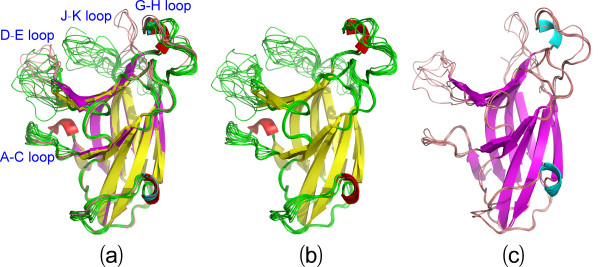 Protein dynamics at Eph receptor-ligand interfaces as revealed by crystallography, NMR and MD simulations.