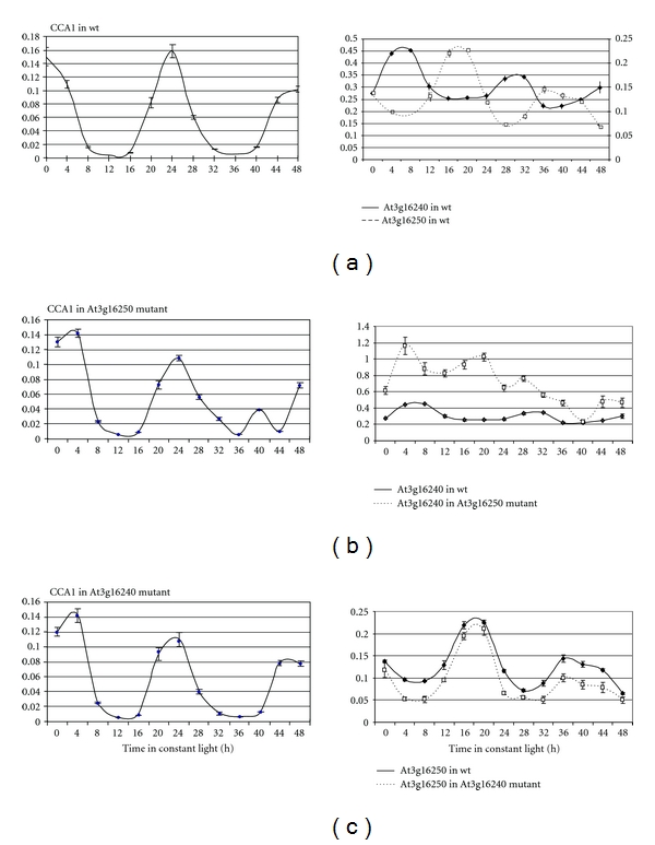 A pair of partially overlapping Arabidopsis genes with antagonistic circadian expression.