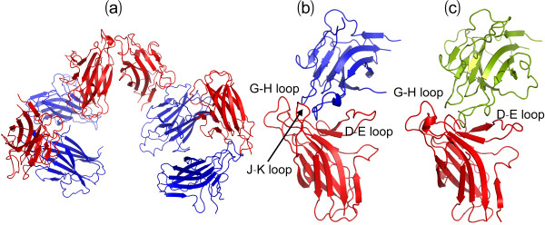 Protein dynamics at Eph receptor-ligand interfaces as revealed by crystallography, NMR and MD simulations.