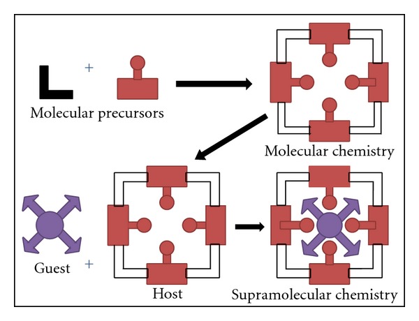 Lipoidal soft hybrid biocarriers of supramolecular construction for drug delivery.