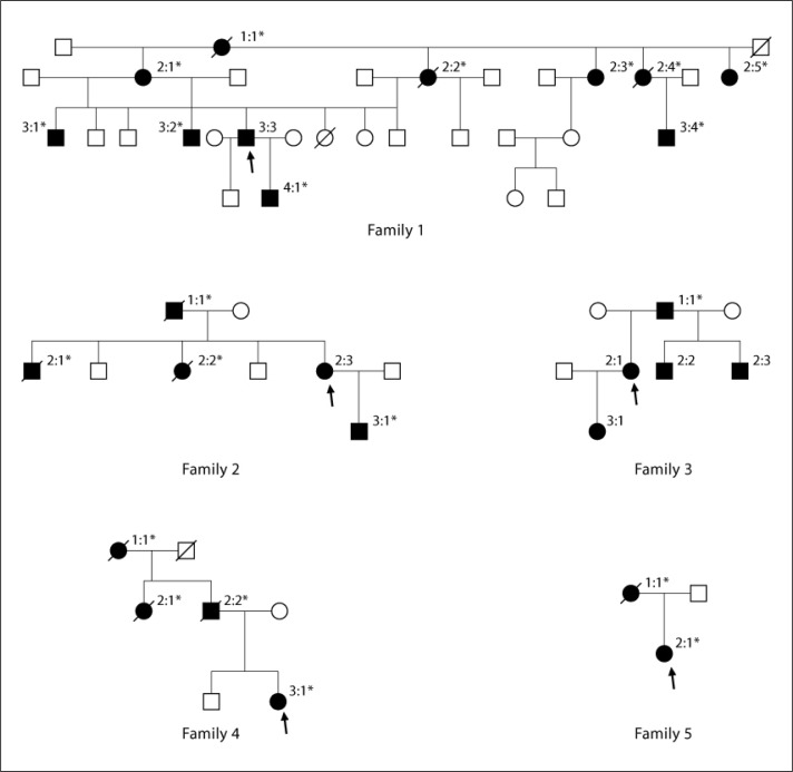 Epidemiology of uromodulin-associated kidney disease - results from a nation-wide survey.