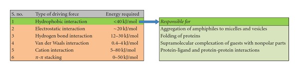 Lipoidal soft hybrid biocarriers of supramolecular construction for drug delivery.