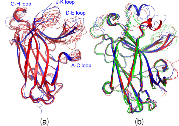 Protein dynamics at Eph receptor-ligand interfaces as revealed by crystallography, NMR and MD simulations.