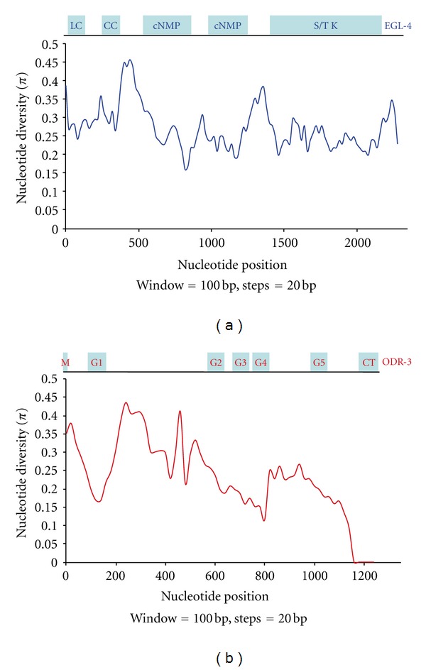 Investigating the Relationship between Topology and Evolution in a Dynamic Nematode Odor Genetic Network.