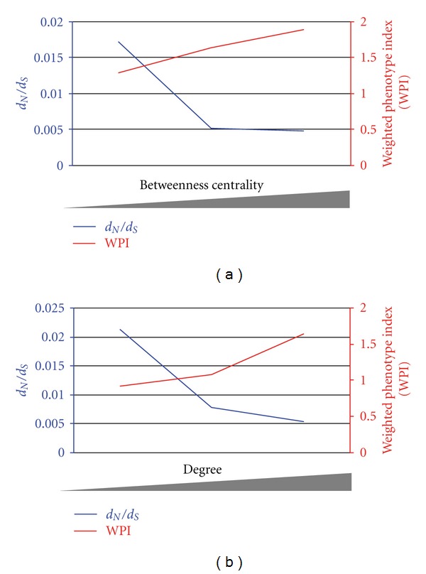 Investigating the Relationship between Topology and Evolution in a Dynamic Nematode Odor Genetic Network.