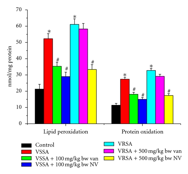 Staphylococcus aureus Infection Induced Oxidative Imbalance in Neutrophils: Possible Protective Role of Nanoconjugated Vancomycin.