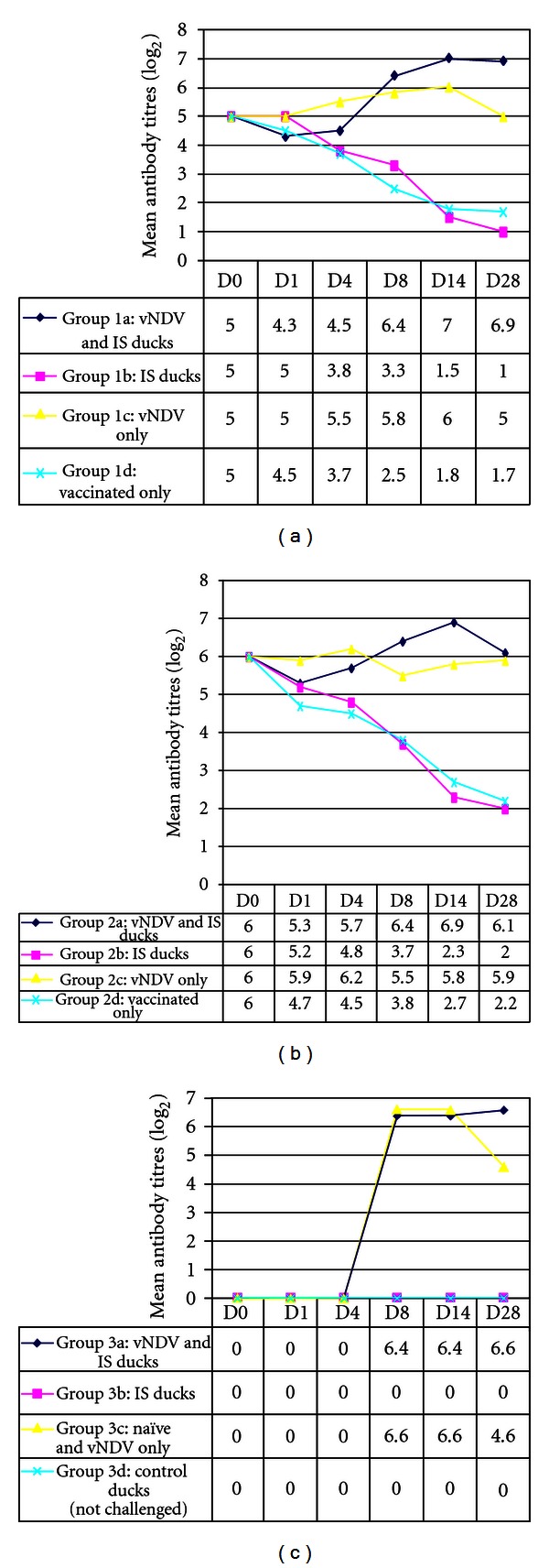 Effect of immunosuppression on newcastle disease virus persistence in ducks with different immune status.