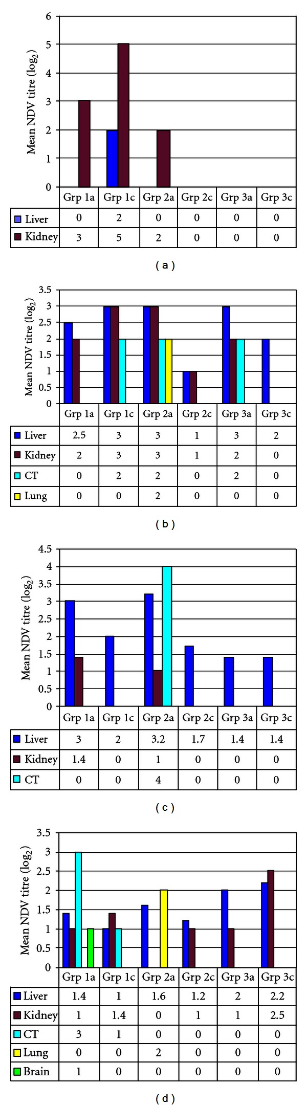 Effect of immunosuppression on newcastle disease virus persistence in ducks with different immune status.