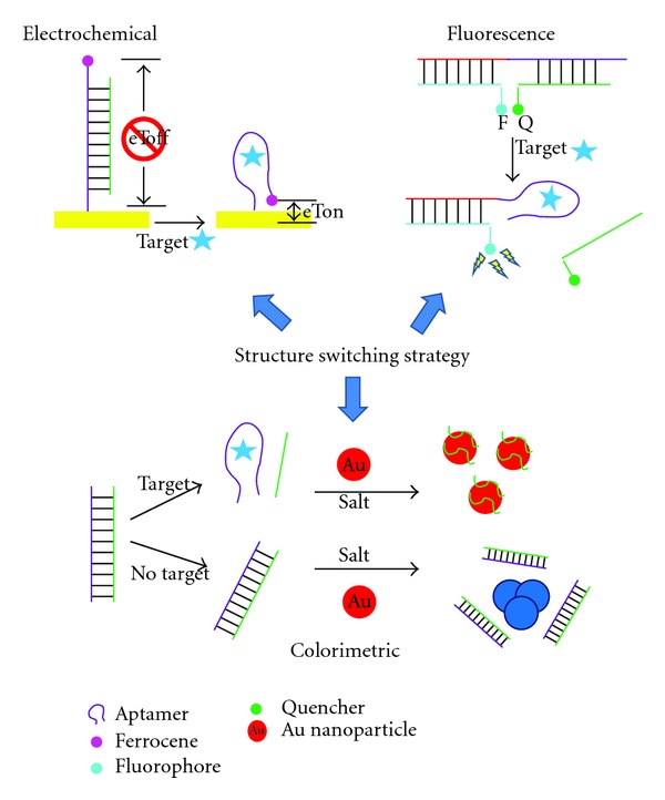 Challenges and opportunities for small molecule aptamer development.