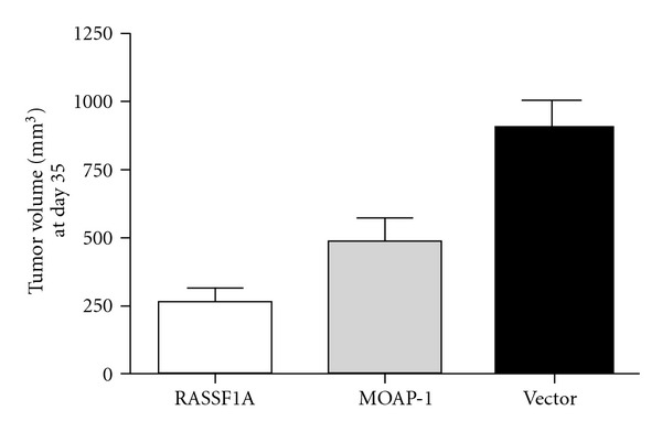 Modulator of Apoptosis 1: A Highly Regulated RASSF1A-Interacting BH3-Like Protein.