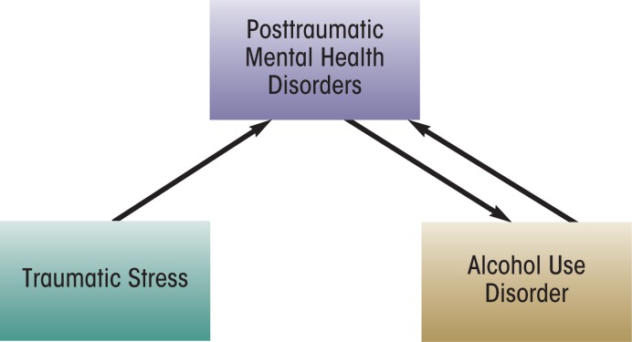 Alcohol and stress in the military.