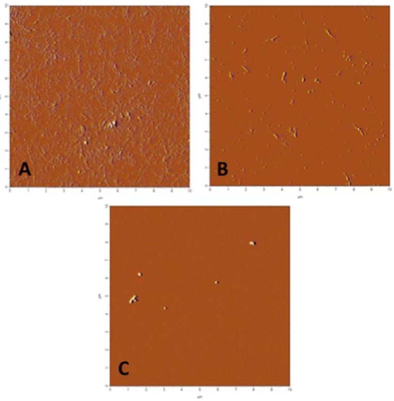 Myricetin Inhibits Islet Amyloid Polypeptide (IAPP) Aggregation and Rescues Living Mammalian Cells from IAPP Toxicity.