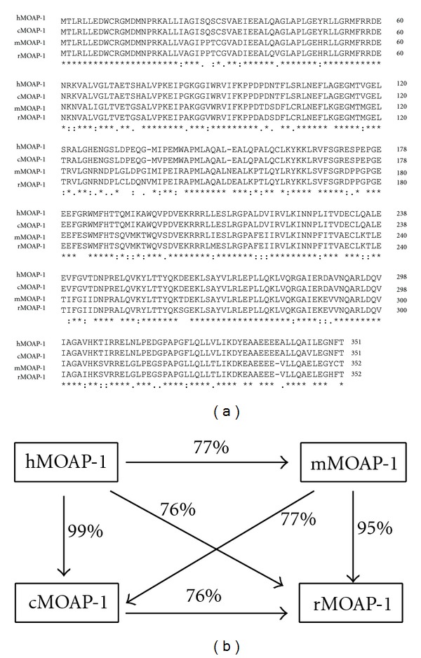 Modulator of Apoptosis 1: A Highly Regulated RASSF1A-Interacting BH3-Like Protein.