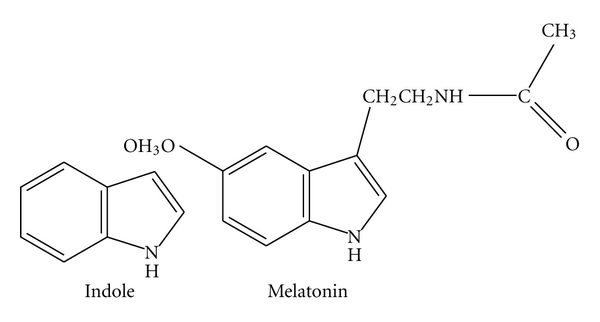 Porphyromonas gingivalis Fimbria-Induced Expression of Inflammatory Cytokines and Cyclooxygenase-2 in Mouse Macrophages and Its Inhibition by the Bioactive Compounds Fibronectin and Melatonin.