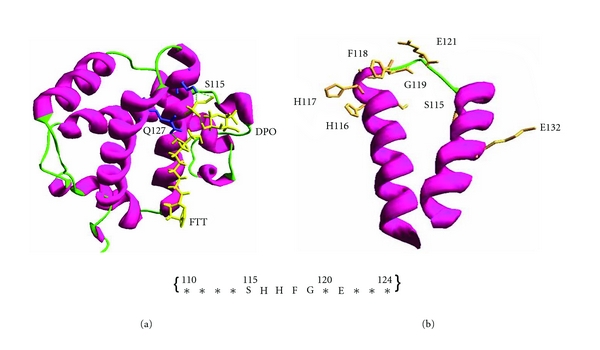 Effect of Rabbit Epididymal Antimicrobial Peptide, REHbβP, on LPS-Induced Proinflammatory Cytokine Responses in Human Vaginal Cells In Vitro.