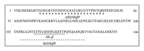 Effect of Rabbit Epididymal Antimicrobial Peptide, REHbβP, on LPS-Induced Proinflammatory Cytokine Responses in Human Vaginal Cells In Vitro.