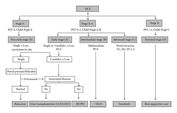 Contemporary strategies in the management of hepatocellular carcinoma.