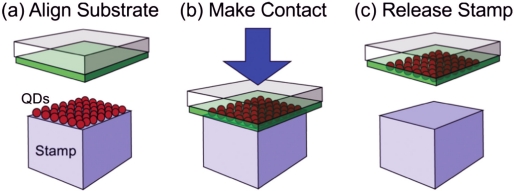 Contact printing of colloidal nanocrystal thin films for hybrid organic/quantum dot optoelectronic devices.