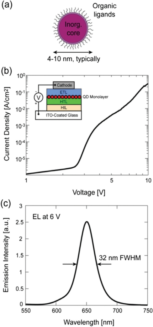 Contact printing of colloidal nanocrystal thin films for hybrid organic/quantum dot optoelectronic devices.