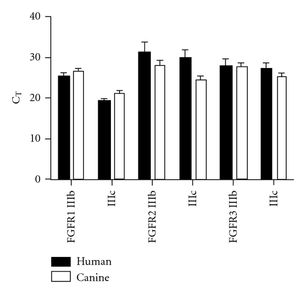 Alternative Splicing of Fibroblast Growth Factor Receptor IgIII Loops in Cancer.