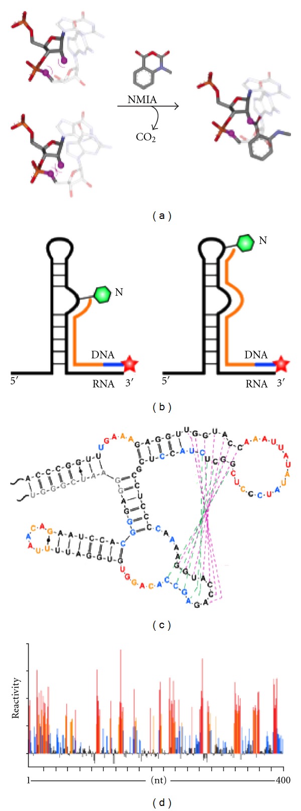 Probing Retroviral and Retrotransposon Genome Structures: The "SHAPE" of Things to Come.