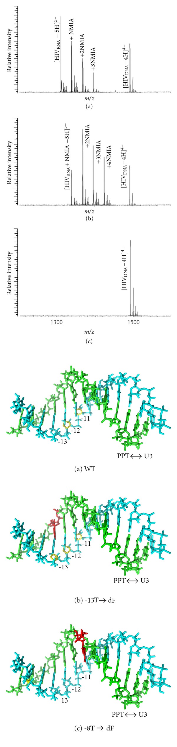 Probing Retroviral and Retrotransposon Genome Structures: The "SHAPE" of Things to Come.