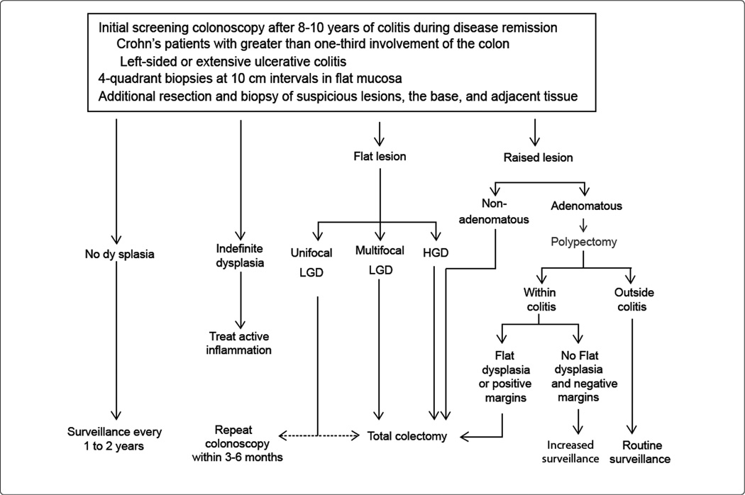 Inflammatory Bowel Disease Associated Colorectal Neoplasia.