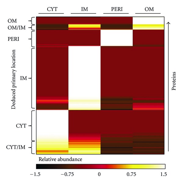 A Comprehensive Subcellular Proteomic Survey of Salmonella Grown under Phagosome-Mimicking versus Standard Laboratory Conditions.