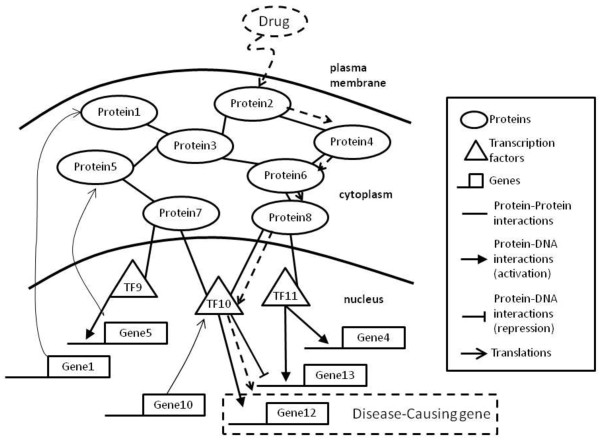 A network flow approach to predict drug targets from microarray data, disease genes and interactome network - case study on prostate cancer.