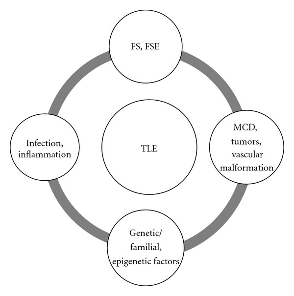 Natural history of temporal lobe epilepsy: antecedents and progression.