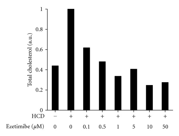 Ezetimibe and simvastatin reduce cholesterol levels in zebrafish larvae fed a high-cholesterol diet.