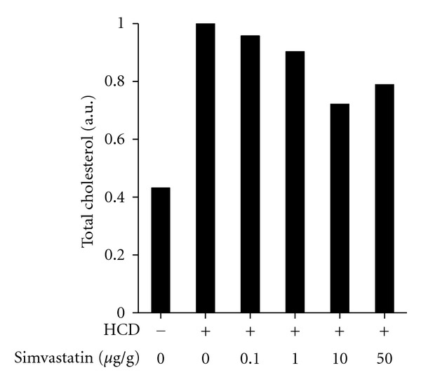 Ezetimibe and simvastatin reduce cholesterol levels in zebrafish larvae fed a high-cholesterol diet.