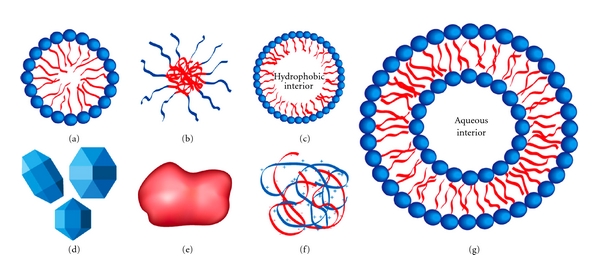 PLGA Nanoparticles for Ultrasound-Mediated Gene Delivery to Solid Tumors.