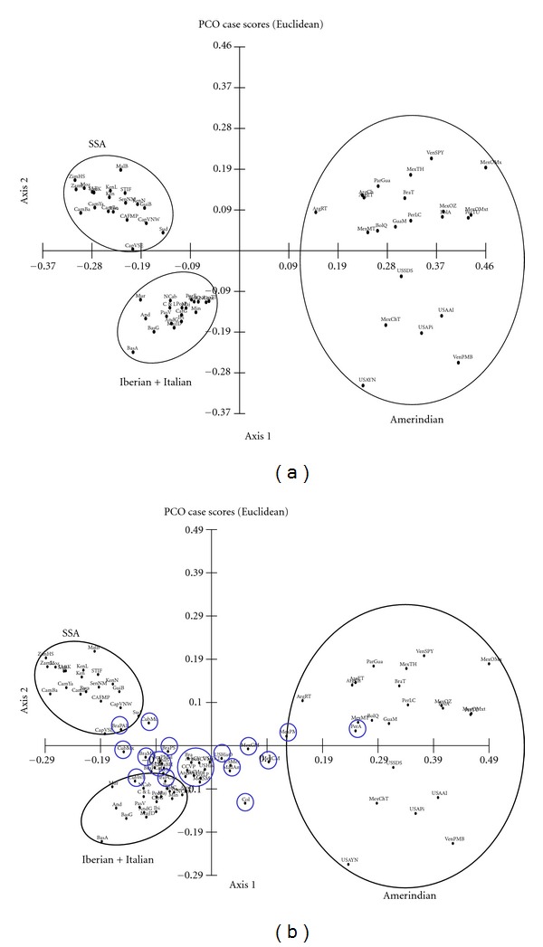 Human leukocyte antigen profiles of latin american populations: differential admixture and its potential impact on hematopoietic stem cell transplantation.