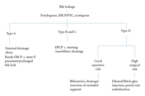 Bile duct leaks from the intrahepatic biliary tree: a review of its etiology, incidence, and management.