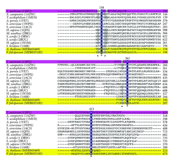 Three-Dimensional Molecular Modeling of a Diverse Range of SC Clan Serine Proteases.