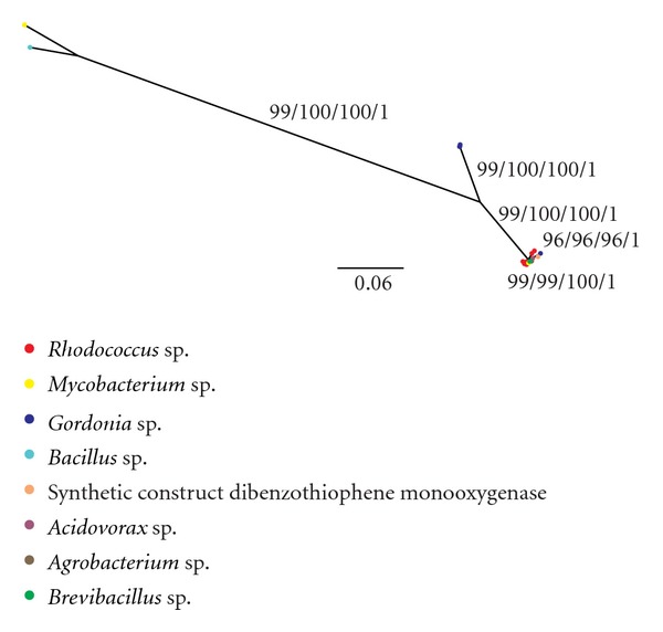 Detection of horizontal gene transfers from phylogenetic comparisons.