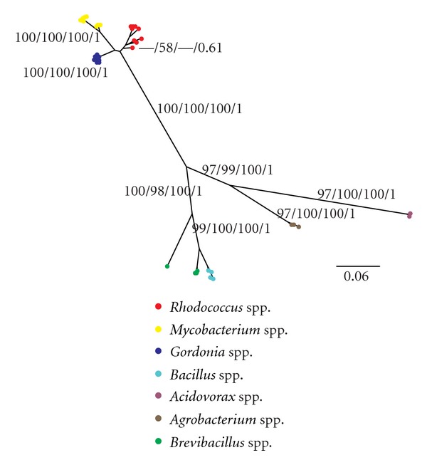 Detection of horizontal gene transfers from phylogenetic comparisons.